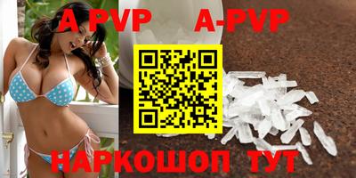 спиды Камышлов
