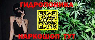 ALPHA PVP Канаш
