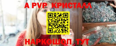бошки Кингисепп