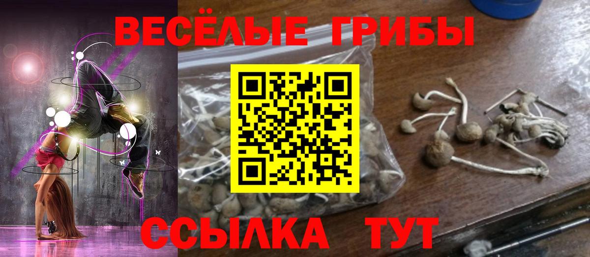 Псилоцибиновые грибы ЛСД  Псилоцибиновые грибы ЛСД  Азов  Вход с VPN 